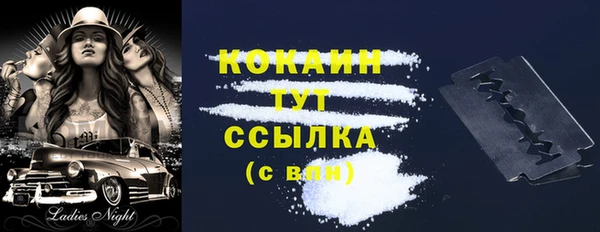 spice Аркадак
