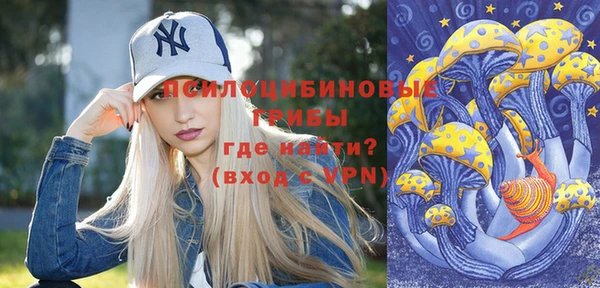 синтетический гашиш Алексеевка