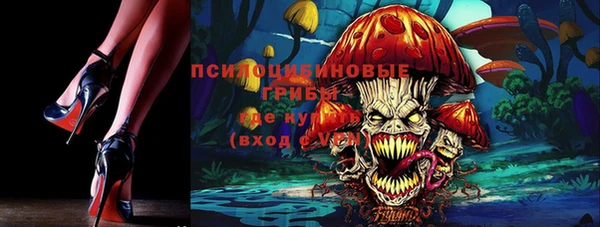 не бодяженный Алексин