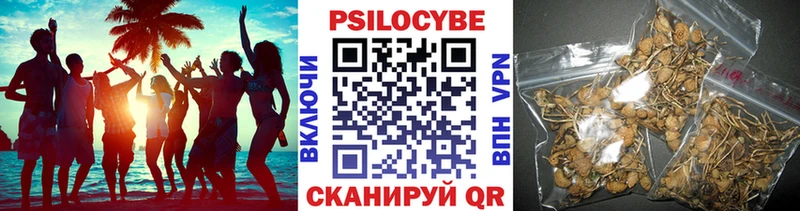 mega маркетплейс  Курган  Псилоцибиновые грибы прущие грибы 